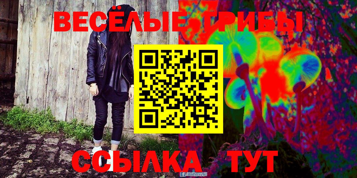 Псилоцибиновые грибы ЛСД Черкесск