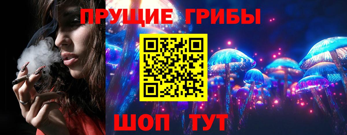 Черкесск  Псилоцибиновые грибы мухоморы  Галлюциногенные грибы Psilocybe  Вход с VPN 